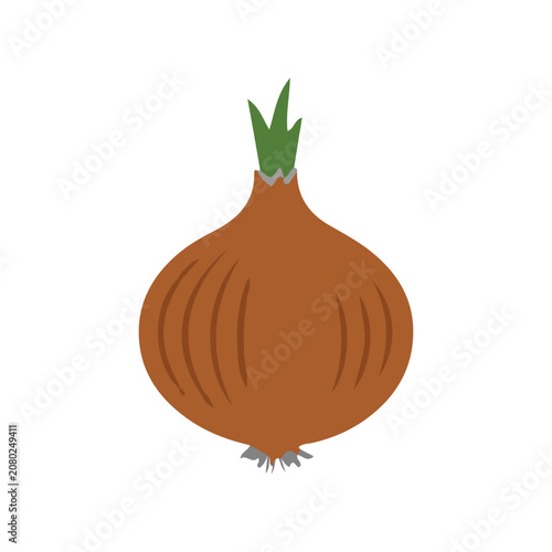 Whole brown onion with sprout vector illustration. Fresh onion bulb isolated on white background.