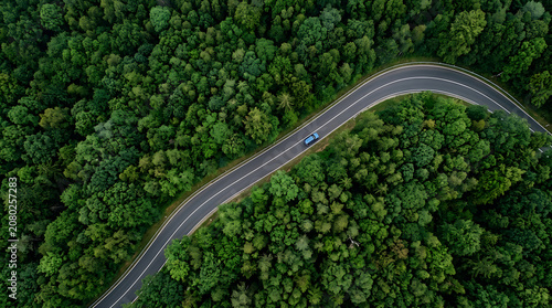 Blue car drives on winding road through dense green forest