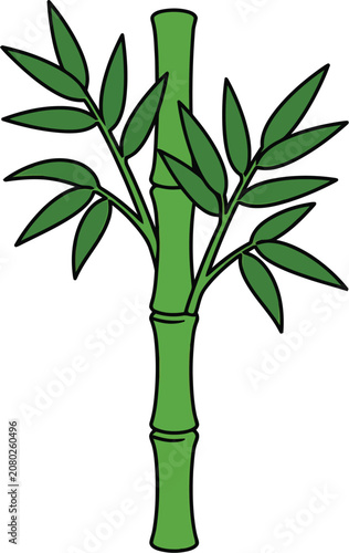 A detailed illustration of a bamboo plant with leaves on a single stem