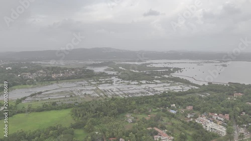 Aerial view of Old Goa and the Mandovi River during the monsoon season, featuring coconut palms, green fields, backwaters, lush greenery, nearby houses, and cloudy skies.