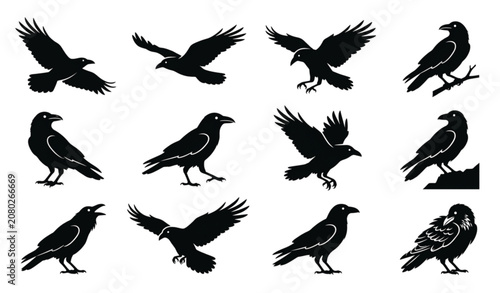 Bild auf Leinwand Black Raven Bird Silhouette Icon Pack