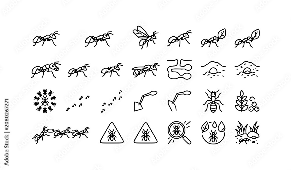 Fototapeta premium Modern Ant Outline Icon Pack Editable Stroke Insect Vector Set on White Background