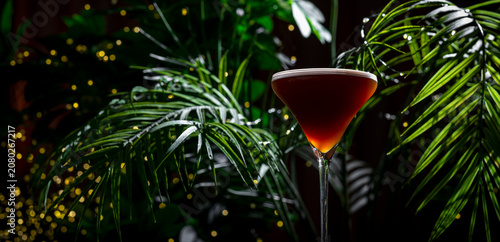 Foto Espresso Martini alcoholic cocktail drink side view with tropical palm foliage
