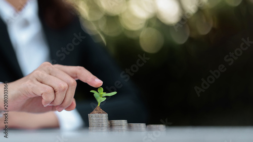 Businessperson Touching Green Seedling Growing on Stacked Coins, Investment Growth Concept