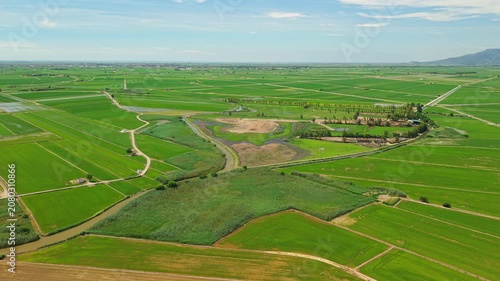 Aerial view of rice fields, wetlands and irrigation canals in Ebro Delta Natural Park, Spain. Green agricultural landscape with mosaic farmland