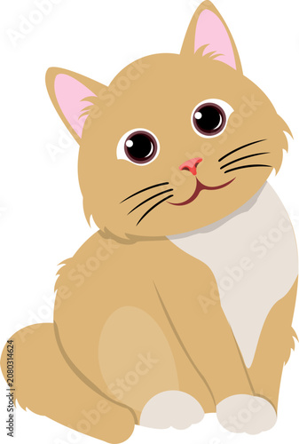 Cute Cat Illustration