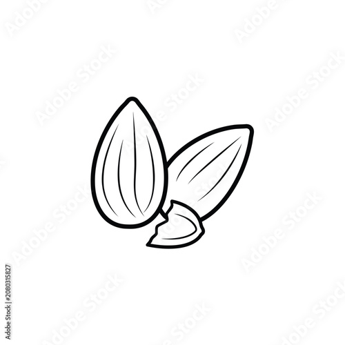Almond Line Art Illustration With White Background