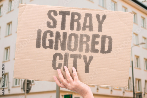 Fotografie "Stray ignored city" Municipality neglects homeless animals