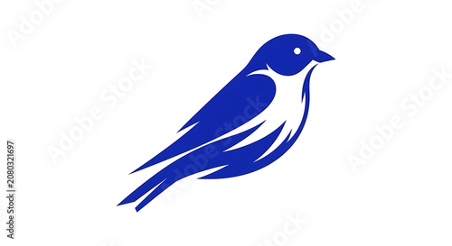 Blue and white of a bird in flight wings