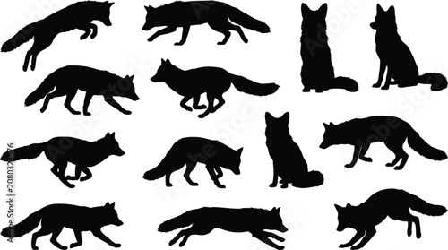Foto Set of black fox silhouettes on white background,