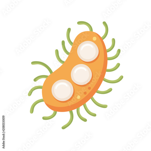 Paramecium flat vector illustration