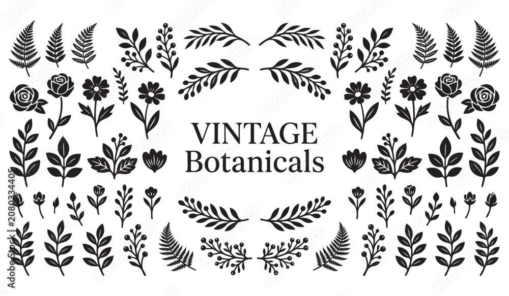 Obraz premium Vintage Botanicals Black and White Vector Illustration Collection Isolated on White
