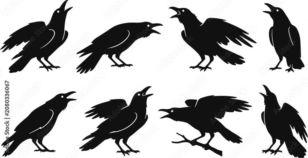 Fototapeta premium Collection of black silhouette crow illustrations in various poses