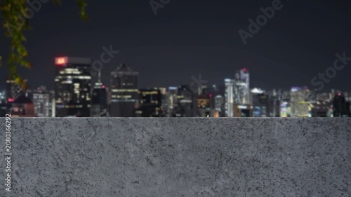 Small lizard briefly crawls over a gray concrete wall against a blurred illuminated city skyline at night before disappearing from view