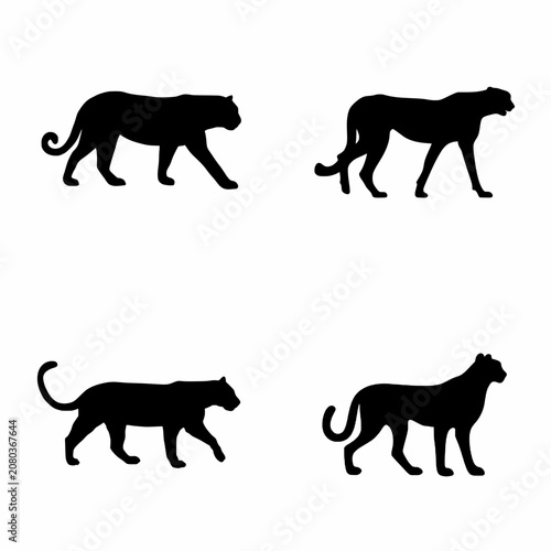 Canvas Print Set of wild big cat silhouettes including cheetah leopard and panther vector ico