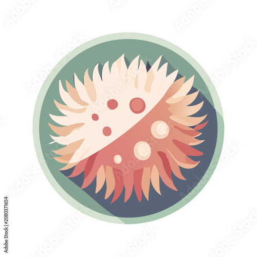 Flat vector illustration of a sea urchin