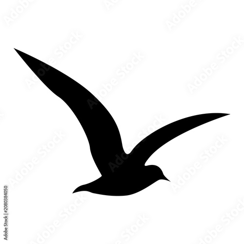 Silhouette of a seagull in flight. Gracefully spread wings in mid air. Seabird. Free flight of a seagull. Soaring movements.