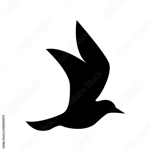 Silhouette of a seagull in flight. Wings in motion. Seabird. The rhythm of flight. Seabird migration. Movement in the open sky.