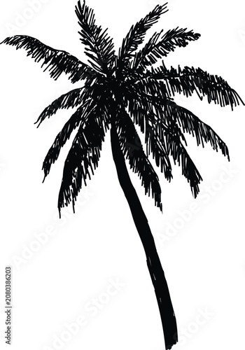Hand-Drawn-Palm-Tree-Vector-Illustration-Black-And-White-Ink-Sketch-Isolated-On-White-Background
