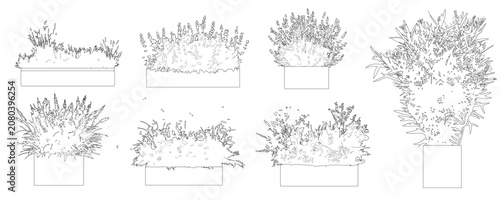 Set of flower boxes in elevation view for use in architectural drawing - isolated on transparent background 