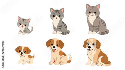 Dog and cat growth stages from kitten and puppy to adult