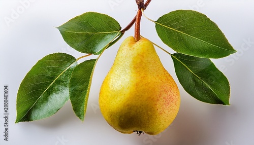 Fresh Yellow Pear Hanging On A Branch With Green Leaves Isolated On A Transparent Background