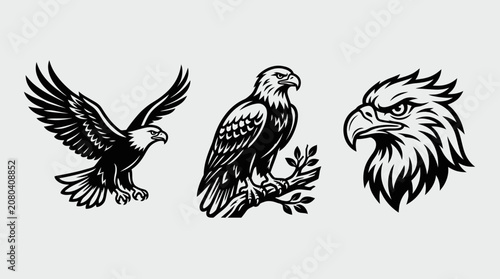 Canvastavla Eagle silhouettes and predatory bird vector illustration set.