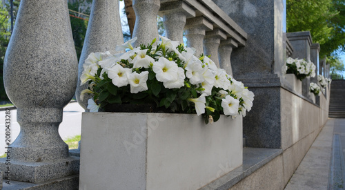 Fotografie Classic stone balustrade with concrete balusters in a historic city