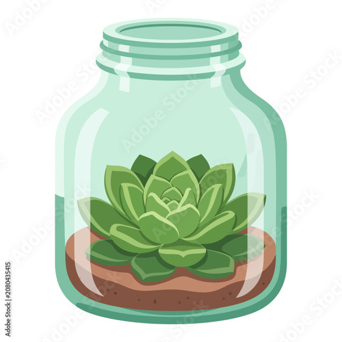 Terrarium Glass Jar with Succulent Plant