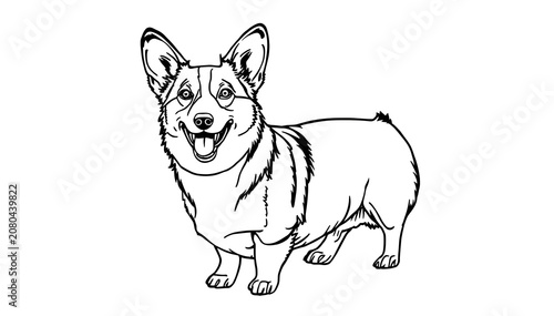 Line art Cardigan Welsh Corgi dog on white background