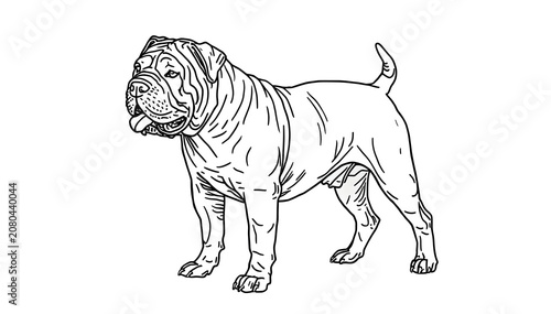 Chinese Shar-Pei dog in bold line art on white background