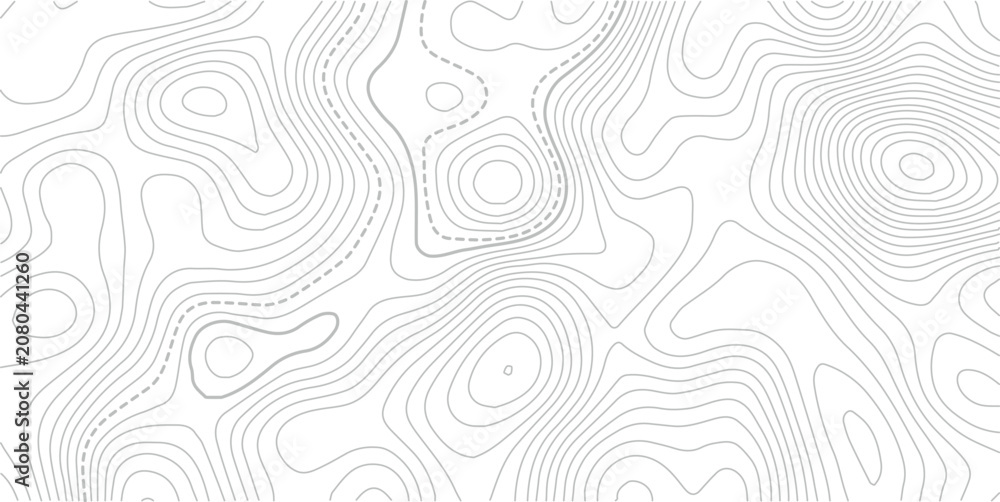 Fototapeta premium White abstract topography topology line map decorative vector background with black outline.Grid geographic relief. Terrain path. Topography bg.