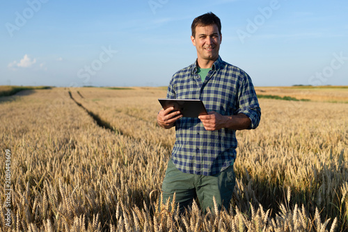 Farmer in wheat field using tablet for agricultural technology and data analysis