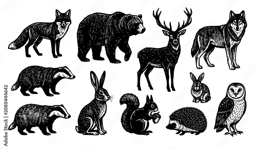 Fototapeta premium Hand Drawn Woodland Animals Vector Illustration Set Featuring Forest Wildlife Elements Like Bear Wolf Deer and Fox for Nature Graphic Designs