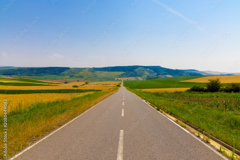 Naklejka premium A straight asphalt country road passing through agricultural fields and rolling hills. An asphalt road extending straight into a rural landscape under a clear blue sky