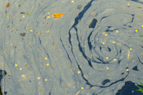 Foto Full frame top view abstract texture of swirling organic scum, foam, and pollen