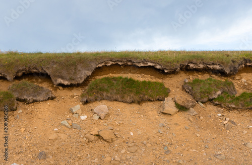 фотографія Coastal erosion, showing a distinct layer of topsoil and grass undermining and slipping over a sandy, rocky base