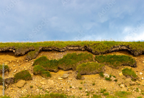 Quadro su tela Soil erosion and slumping along a grassy hillside