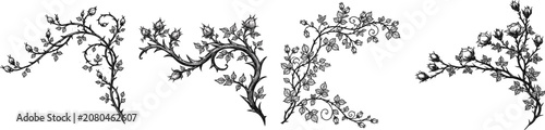 A fairytale briar patch corner flourishes with looping thorn branches, tiny closed rosebuds, and detailed miniature leaves in crisp black and white line art on a pure white background