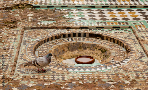 Historic Zellij Mosaic Fountain and Pigeon in a Medieval Marrakech Palace