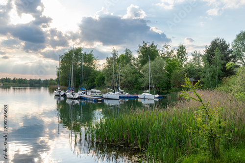 White sailboats are tied to a floating dock on a calm lake, surrounded by common reed, willow, birch, pine, and soft evening sunlight through cloudy sky.
