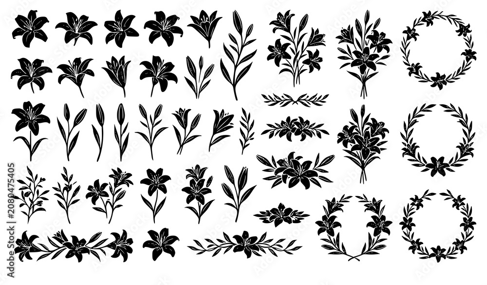 Fototapeta premium Professional Lily Flower Vector Collection with Black Botanical Silhouette Leaves and Blooms