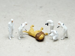 Mini toy of action figure at outdoor with blurred background. Miniature photography concept design. Minifigure of forensic crew and scientist with big lion character. Rescuing animal at wildlife.