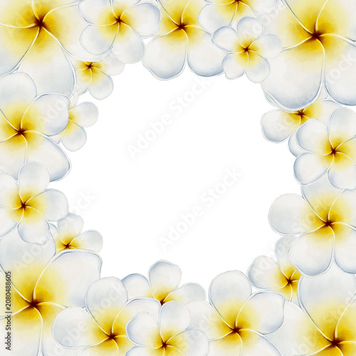 Plumeria watercolor frame with tropical flowers for wedding invitations, greeting cards, packaging, branding, stationery, banners, elegant summer decorations and seasonal design projects.