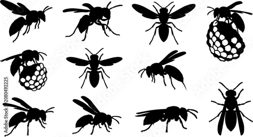 Foto vector can editable Detailed wasp and hornet silhouette set with paper nest illu