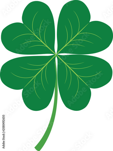 Four leaf clover, green lucky shamrock symbol isolated on white background for St Patrick's Day.