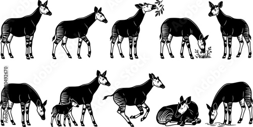 Slika na platnu vector can editable Enigmatic okapi silhouettes showcasing the unique striped li