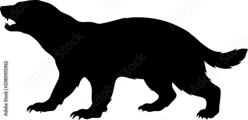 Fotografie vector can editable Fearless honey badger silhouette in an aggressive defensive