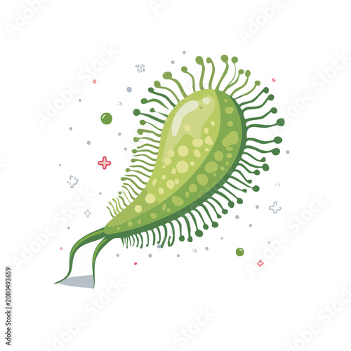Green Paramecium Vector Illustration