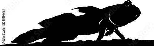 Obraz na plátně vector can editable Stark black silhouette of a mudskipper amphibious fish navig